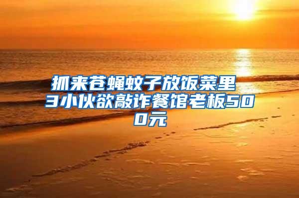 抓来苍蝇蚊子放饭菜里 3小伙欲敲诈餐馆老板500元