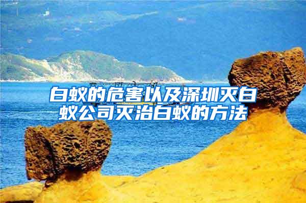 白蚁的危害以及深圳灭白蚁公司灭治白蚁的方法