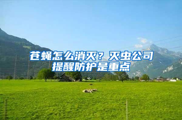 苍蝇怎么消灭？灭虫公司提醒防护是重点
