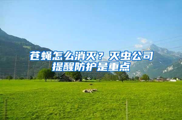 苍蝇怎么消灭？灭虫公司提醒防护是重点