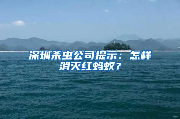 深圳杀虫公司提示：怎样消灭红蚂蚁？