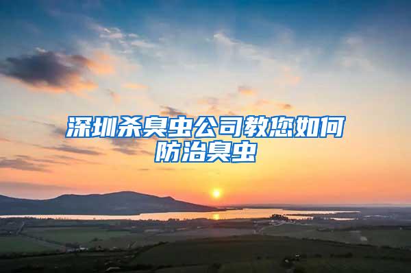 深圳杀臭虫公司教您如何防治臭虫