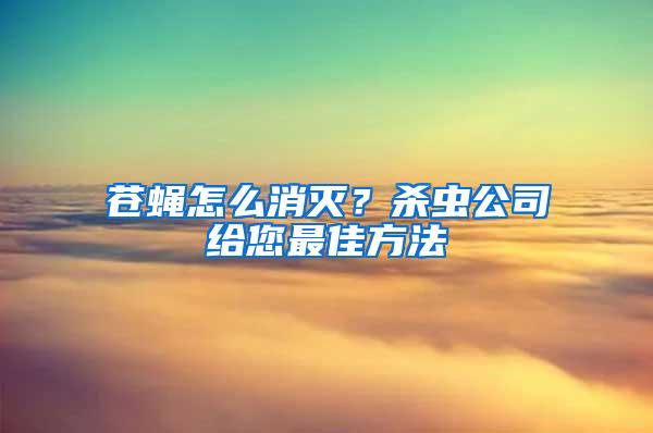 苍蝇怎么消灭？杀虫公司给您最佳方法