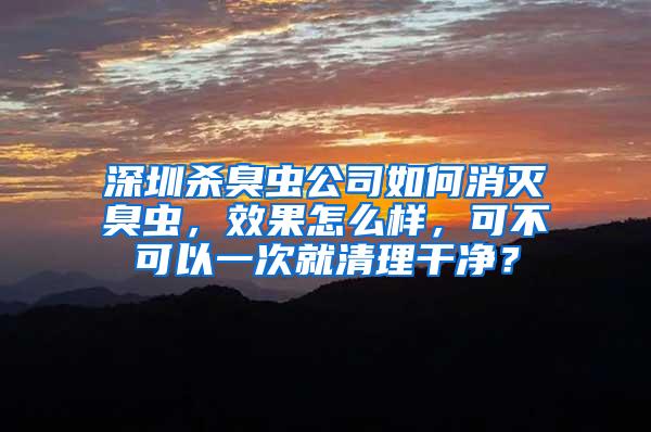 深圳杀臭虫公司如何消灭臭虫，效果怎么样，可不可以一次就清理干净？