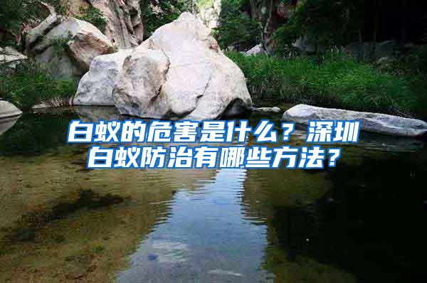 白蚁的危害是什么？深圳白蚁防治有哪些方法？