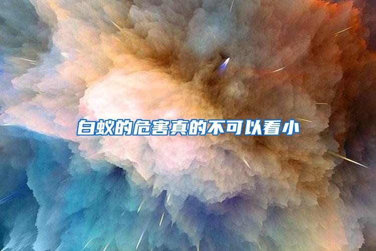白蚁的危害真的不可以看小
