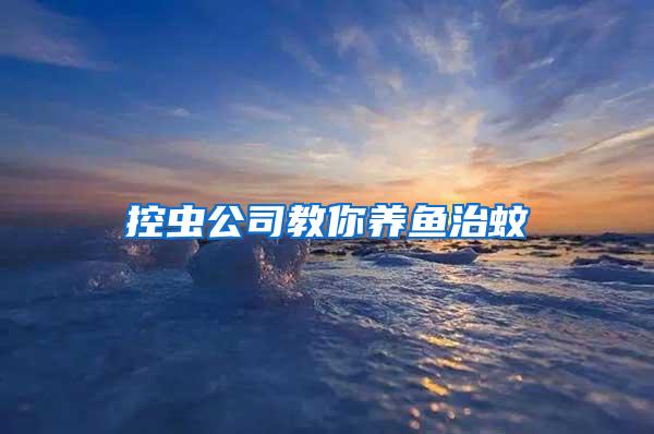 控虫公司教你养鱼治蚊