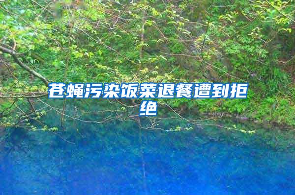 苍蝇污染饭菜退餐遭到拒绝
