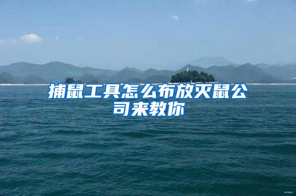 捕鼠工具怎么布放灭鼠公司来教你