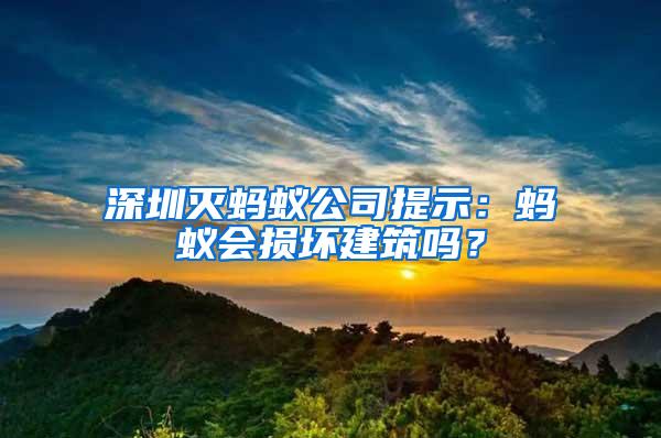 深圳灭蚂蚁公司提示：蚂蚁会损坏建筑吗？