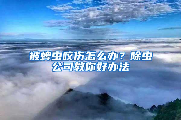 被蜱虫咬伤怎么办？除虫公司教你好办法