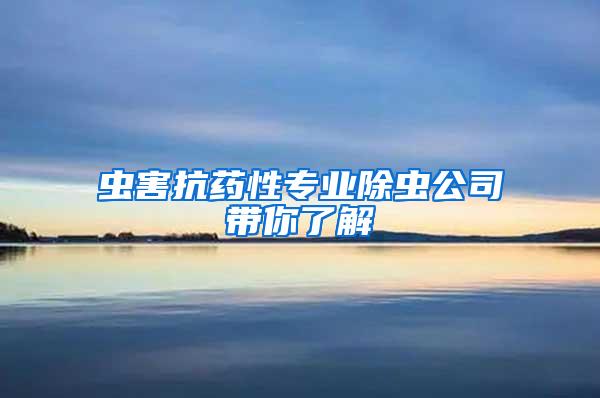 虫害抗药性专业除虫公司带你了解