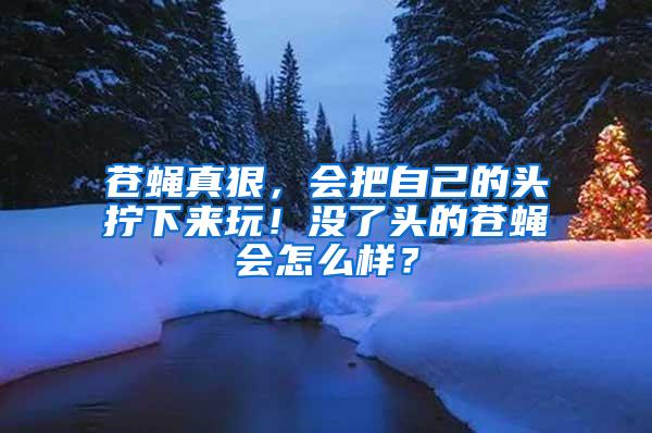 苍蝇真狠，会把自己的头拧下来玩！没了头的苍蝇会怎么样？