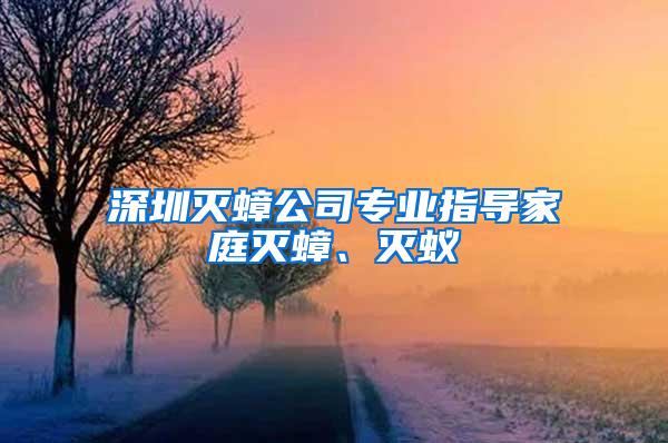 深圳灭蟑公司专业指导家庭灭蟑、灭蚁