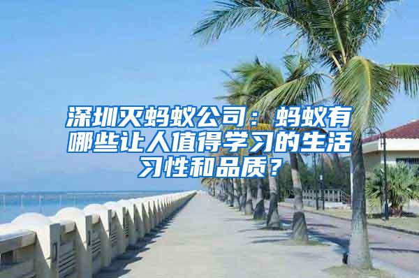 深圳灭蚂蚁公司：蚂蚁有哪些让人值得学习的生活习性和品质？