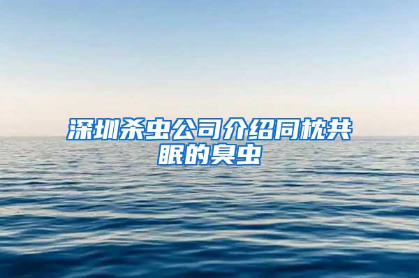 深圳杀虫公司介绍同枕共眠的臭虫