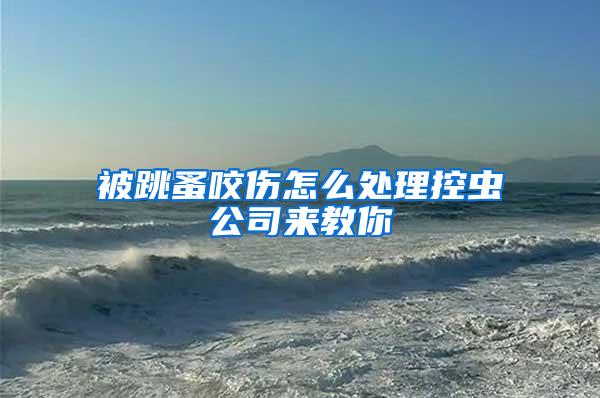 被跳蚤咬伤怎么处理控虫公司来教你