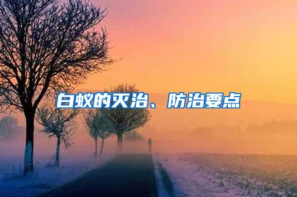 白蚁的灭治、防治要点