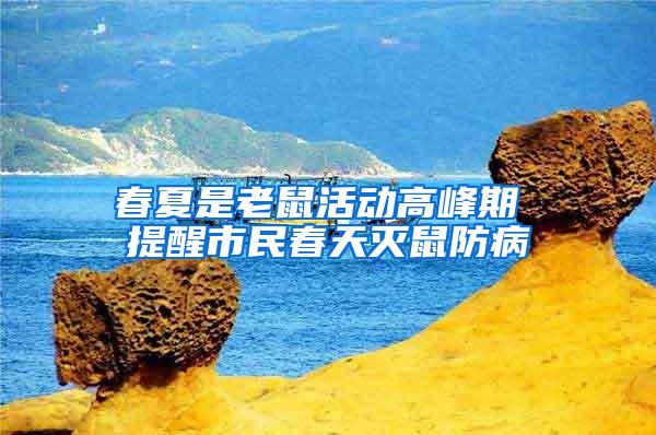 春夏是老鼠活动高峰期 提醒市民春天灭鼠防病