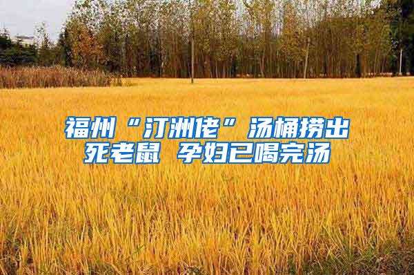 福州“汀洲佬”汤桶捞出死老鼠 孕妇已喝完汤