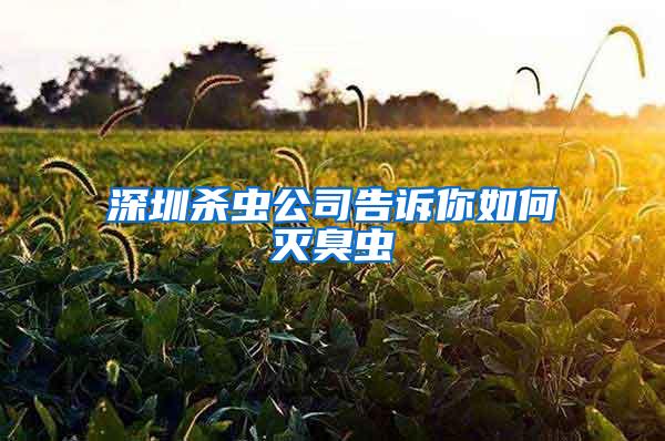 深圳杀虫公司告诉你如何灭臭虫