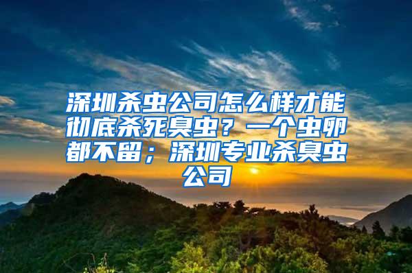 深圳杀虫公司怎么样才能彻底杀死臭虫？一个虫卵都不留；深圳专业杀臭虫公司