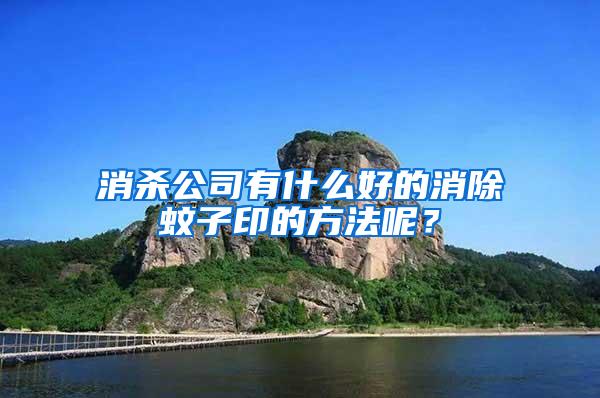 消杀公司有什么好的消除蚊子印的方法呢？