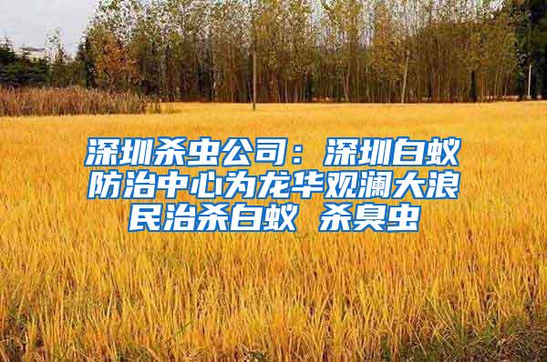 深圳杀虫公司：深圳白蚁防治中心为龙华观澜大浪民治杀白蚁 杀臭虫