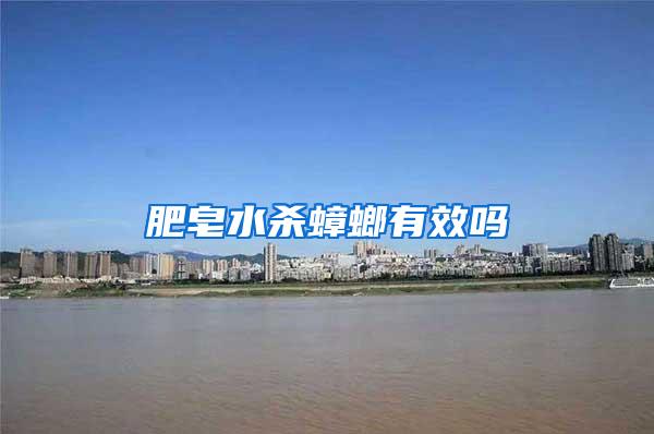 肥皂水杀蟑螂有效吗