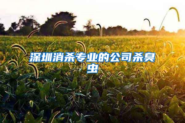 深圳消杀专业的公司杀臭虫