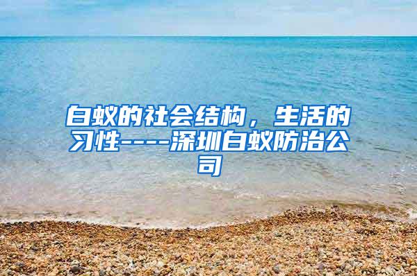 白蚁的社会结构，生活的习性----深圳白蚁防治公司