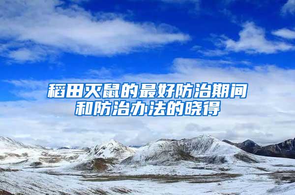 稻田灭鼠的最好防治期间和防治办法的晓得