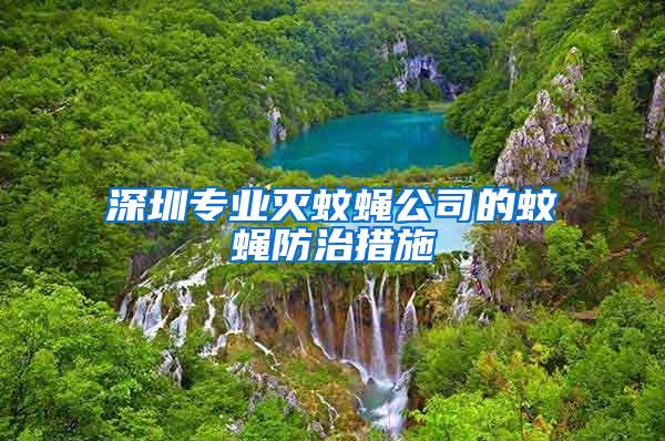 深圳专业灭蚊蝇公司的蚊蝇防治措施