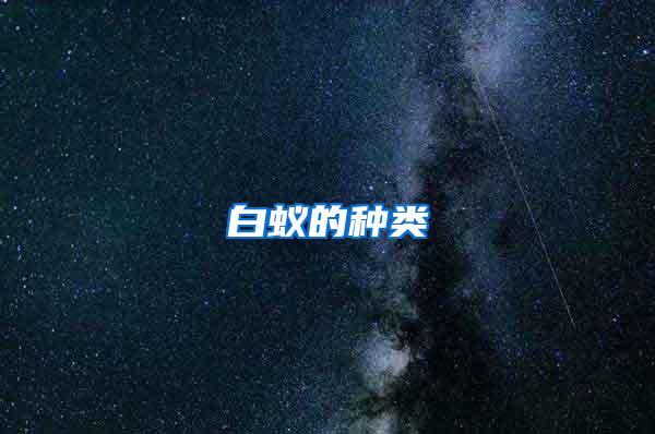 白蚁的种类