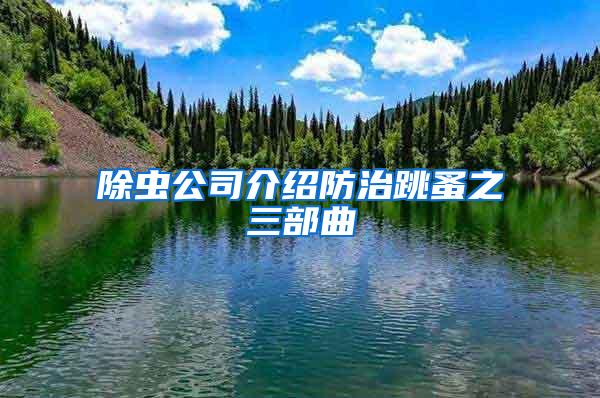 除虫公司介绍防治跳蚤之三部曲