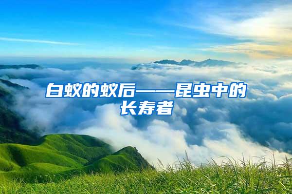 白蚁的蚁后——昆虫中的长寿者
