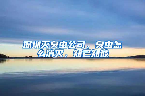 深圳灭臭虫公司，臭虫怎么消灭，知己知彼