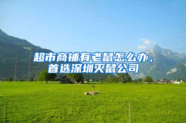 超市商铺有老鼠怎么办，首选深圳灭鼠公司