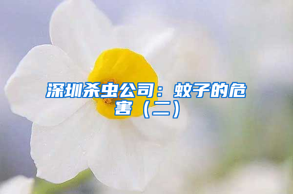 深圳杀虫公司：蚊子的危害（二）