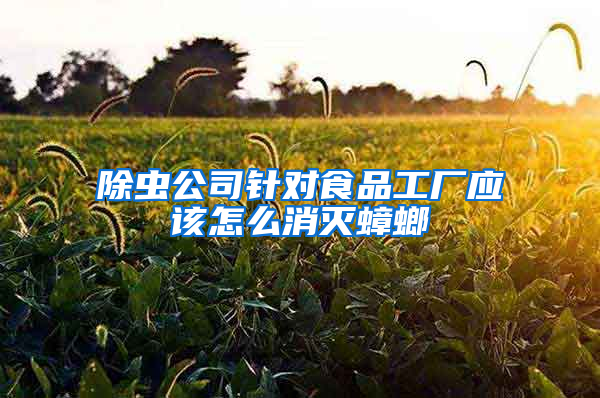 除虫公司针对食品工厂应该怎么消灭蟑螂