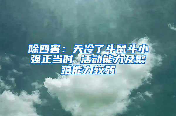 除四害：天冷了斗鼠斗小强正当时 活动能力及繁殖能力较弱