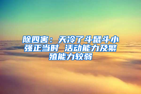 除四害：天冷了斗鼠斗小强正当时 活动能力及繁殖能力较弱