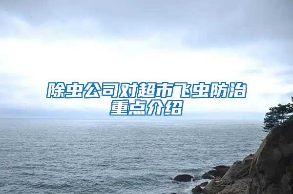 除虫公司对超市飞虫防治重点介绍