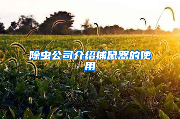 除虫公司介绍捕鼠器的使用