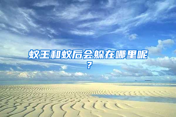 蚁王和蚁后会躲在哪里呢？