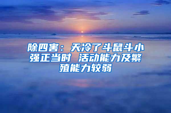 除四害：天冷了斗鼠斗小强正当时 活动能力及繁殖能力较弱