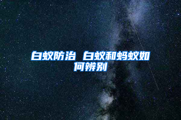 白蚁防治 白蚁和蚂蚁如何辨别