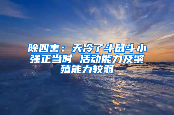 除四害：天冷了斗鼠斗小强正当时 活动能力及繁殖能力较弱