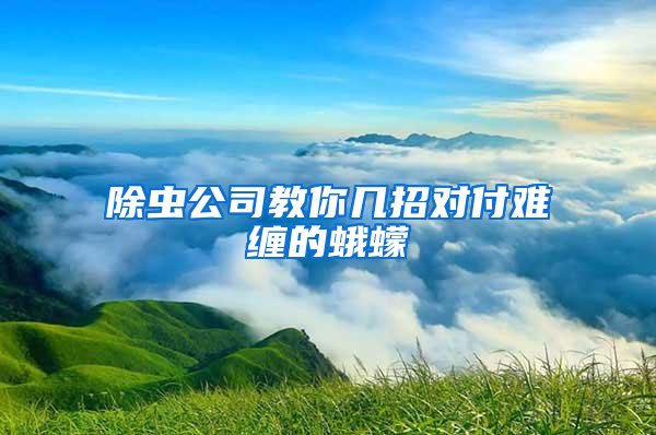 除虫公司教你几招对付难缠的蛾蠓