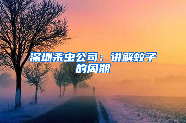 深圳杀虫公司：讲解蚊子的周期